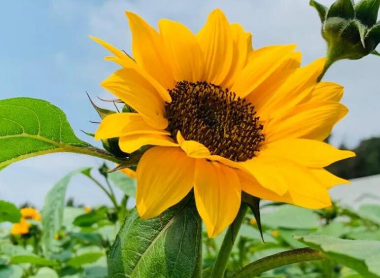 1639029735116530.jpg 1639029735116530.jpg