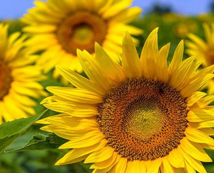 1639029748194486.jpg 1639029748194486.jpg