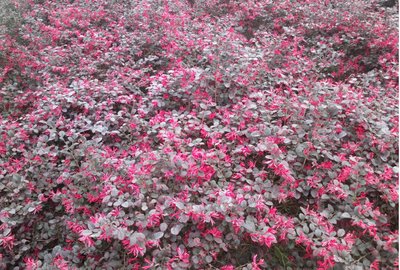 1639217461886602.jpg 1639217461886602.jpg