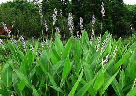 1639303330527316.jpg 1639303330527316.jpg