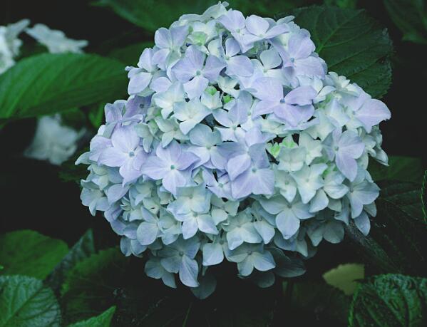 1639372023199633.jpg 1639372023199633.jpg