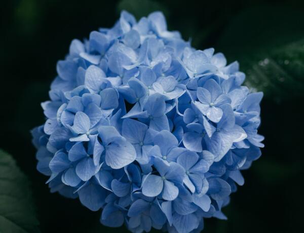 1639372023539125.jpg 1639372023539125.jpg