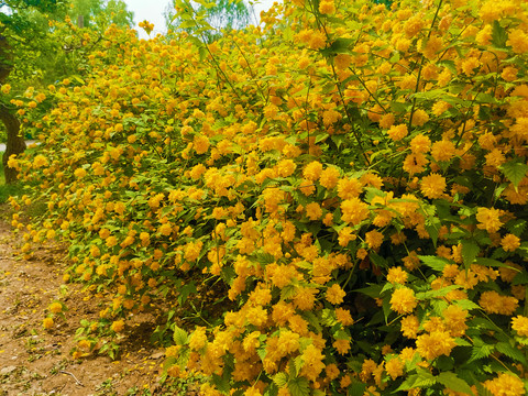 1639389141183743.jpg 1639389141183743.jpg