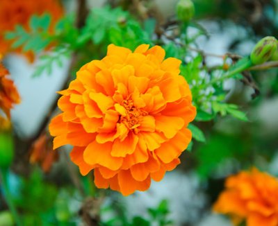 1639389327339403.jpg 1639389327339403.jpg