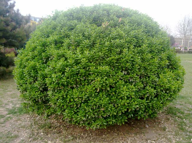 1639476658170411.jpg 1639476658170411.jpg