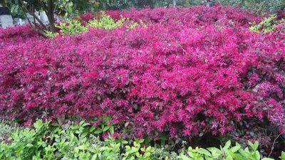 1639553035982261.jpg 1639553035982261.jpg