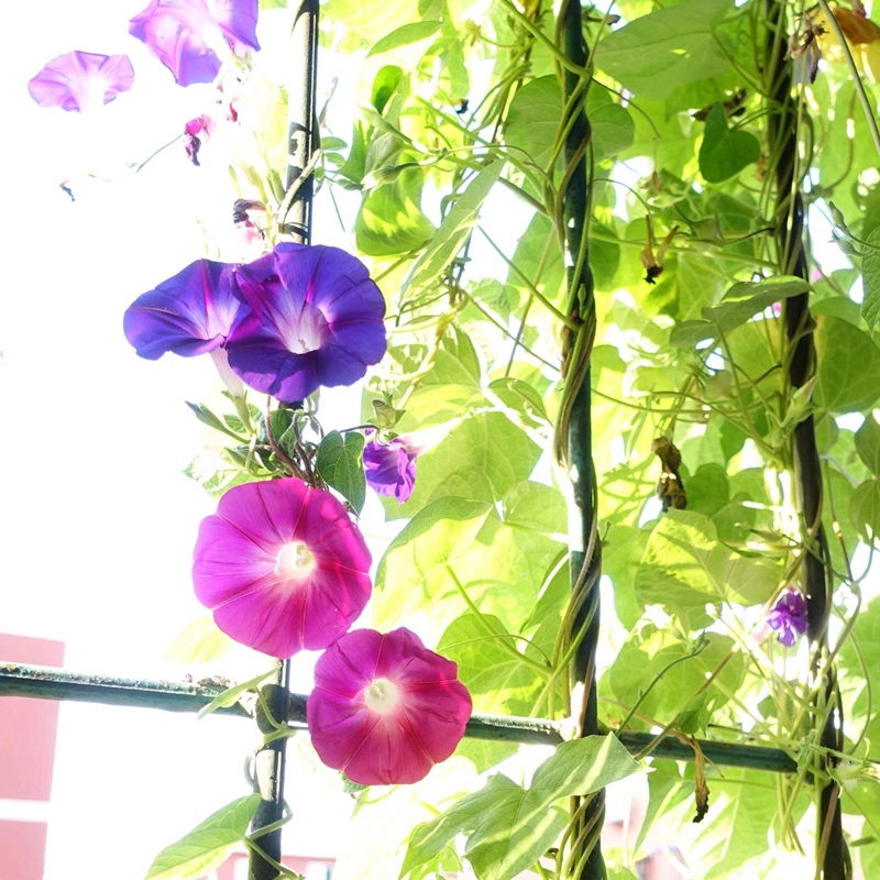 牽?；?/></p><p style=