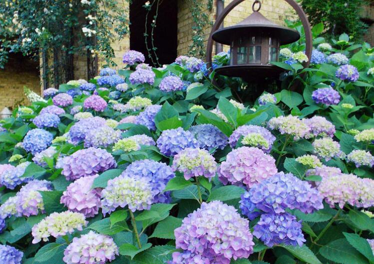 1639838931266053.jpg 1639838931266053.jpg