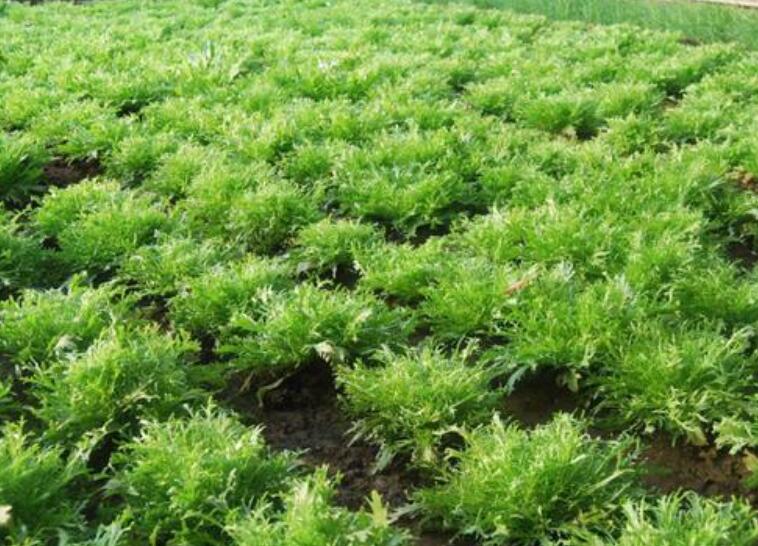 1639877163854311.jpg 444444444444.jpg