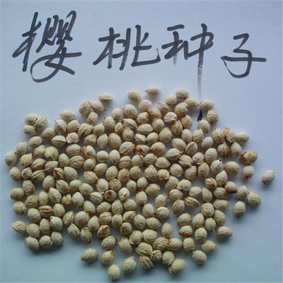 1639912069231525.jpg 1639912069231525.jpg