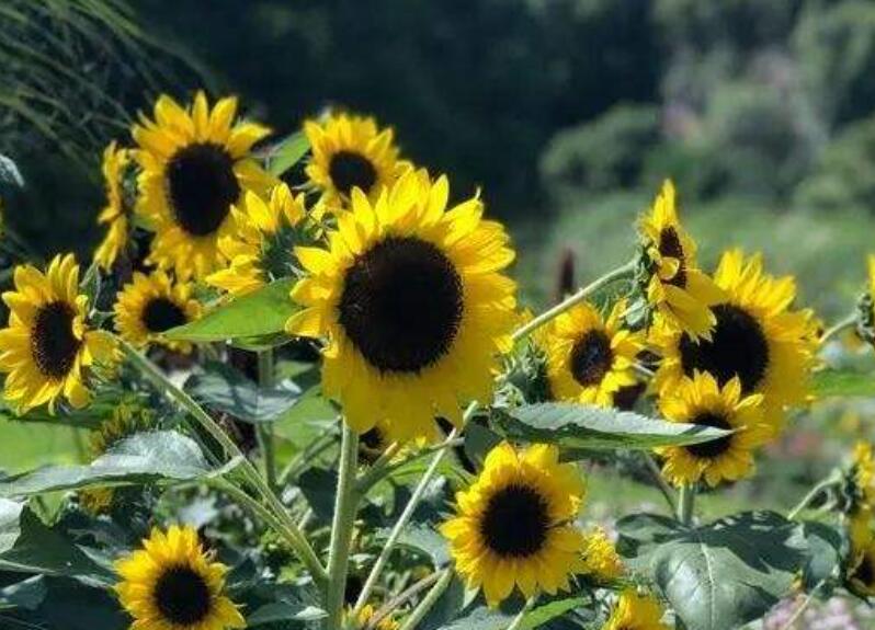 1639978537577636.jpg 1639978537577636.jpg