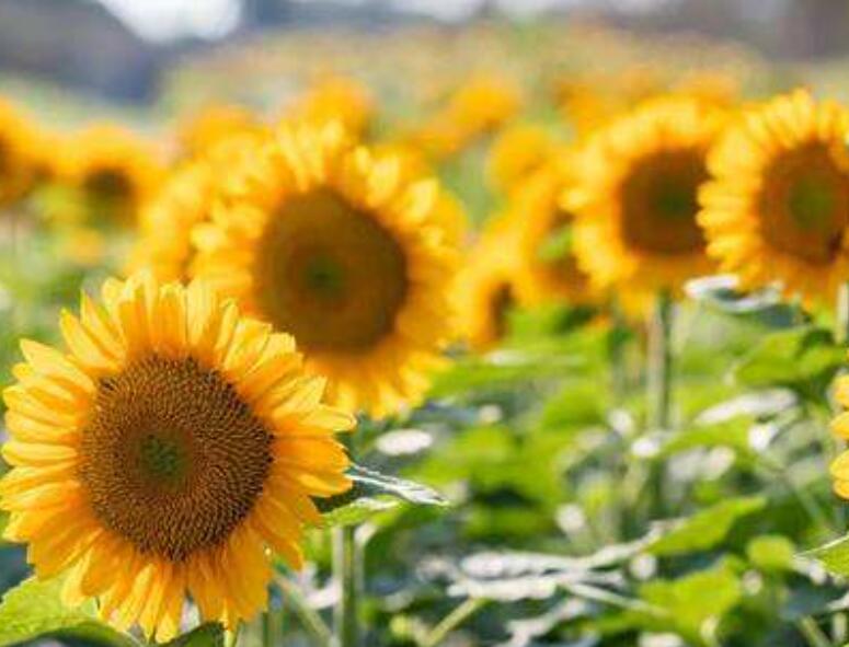 1639978544115103.jpg 1639978544115103.jpg