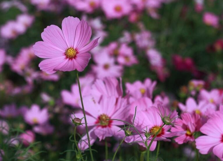 1639983211984466.jpg 1639983211984466.jpg