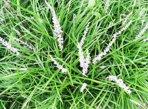 1640064390963484.png 1640064390963484.png