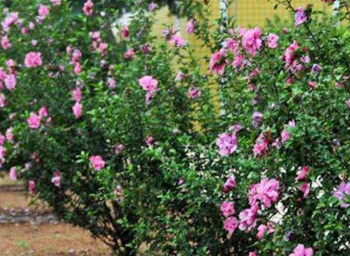 1640066973738223.jpg 1640066973738223.jpg