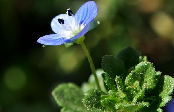 1640073537254057.jpg 1640073537254057.jpg