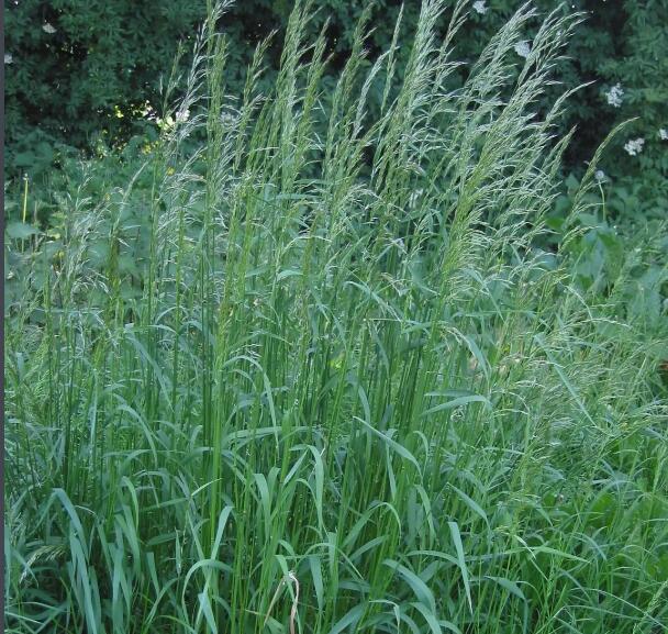 1640087966419443.jpg 1640087966419443.jpg