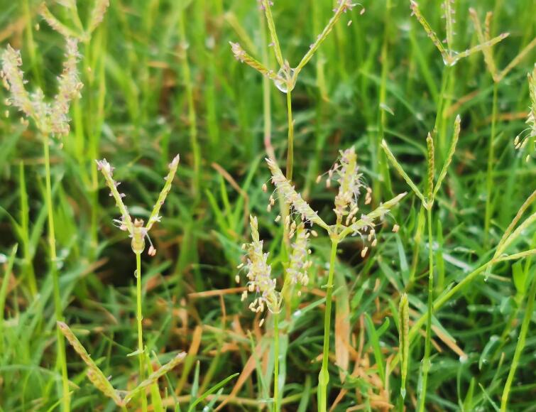 1640244955917562.jpg 1640244955917562.jpg