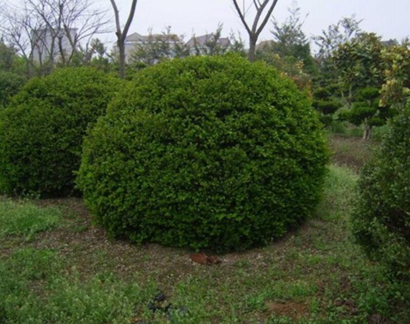 1640246223855362.jpg 1640246223855362.jpg