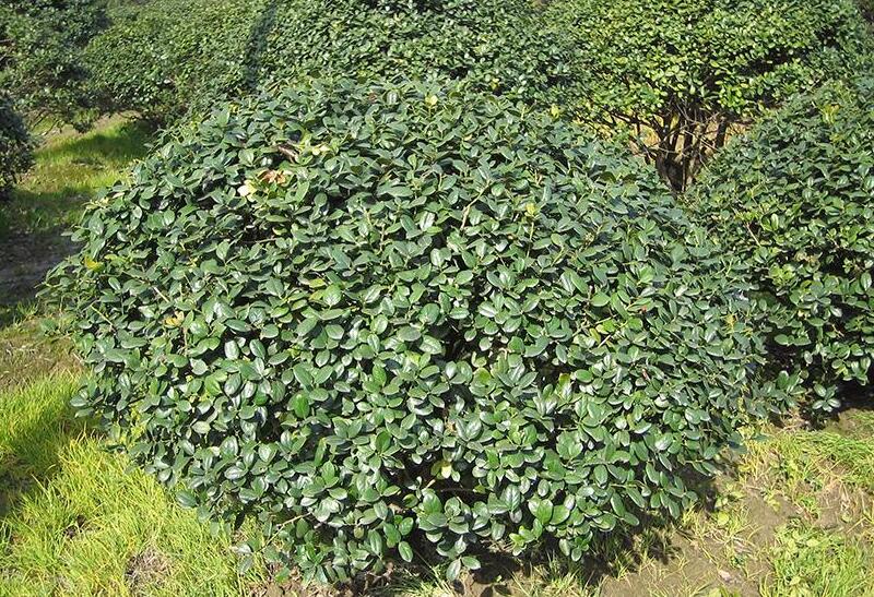 1640246224540443.jpg 1640246224540443.jpg