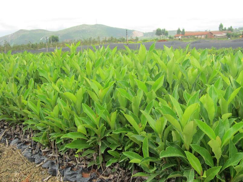 1640321673680179.jpg 1640321673680179.jpg