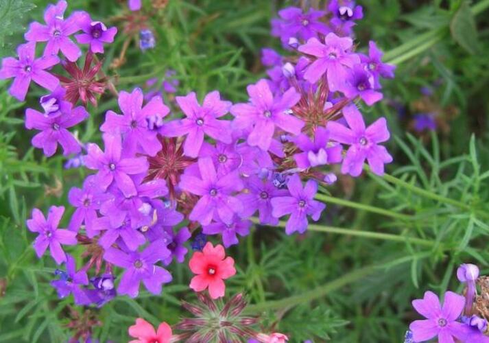 1640441815402684.jpg 1640441815402684.jpg