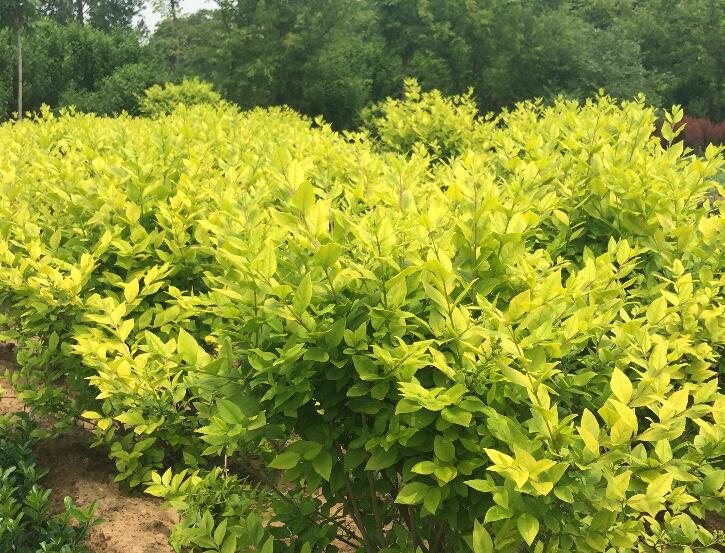 1640446561519670.jpg 1640446561519670.jpg