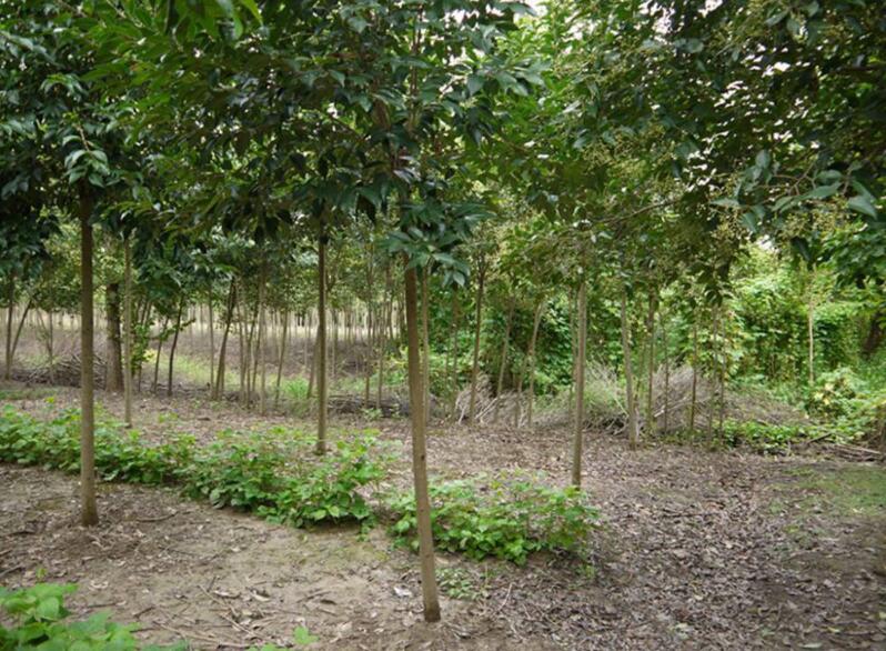 1640602029898813.jpg 1640602029898813.jpg