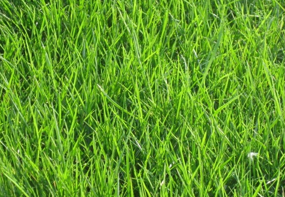 1640758937967933.png 1640758937967933.png