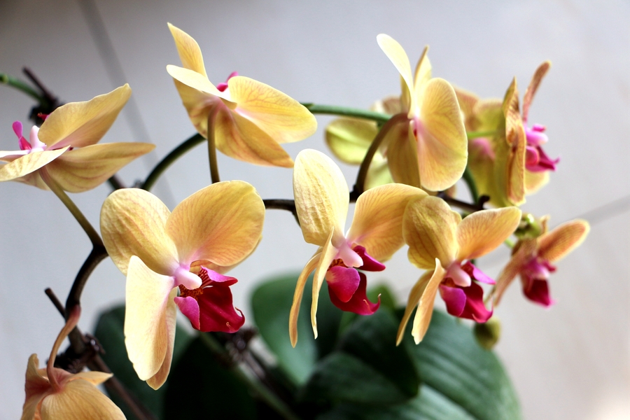 1641207042293442.jpg 1641207042293442.jpg