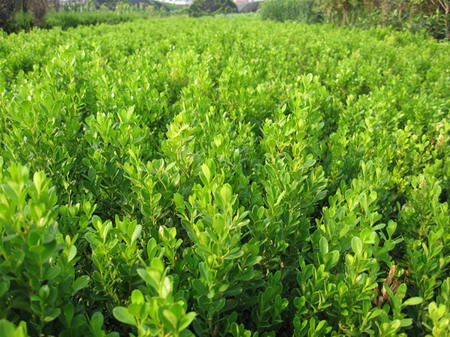 1641725183956389.jpg 1641725183956389.jpg