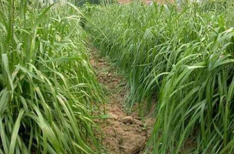 1641737649575156.jpg 1641737649575156.jpg