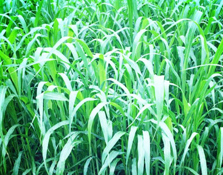 1641738018785674.jpg 1641738018785674.jpg