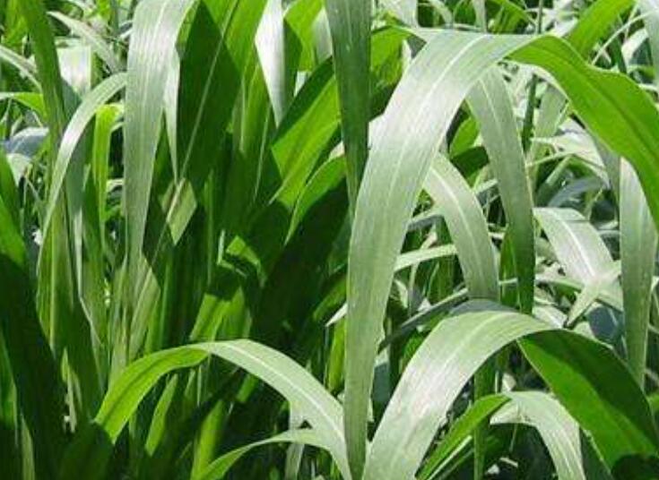 1641739894348134.jpg 1641739894348134.jpg