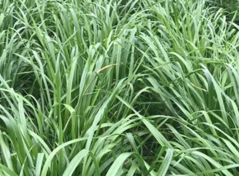 1641796366784491.jpg 1641796366784491.jpg