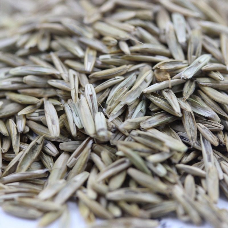 1641811373499956.jpg 1641811373499956.jpg