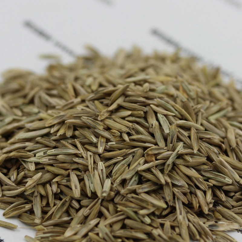 1641811373880660.jpg 1641811373880660.jpg