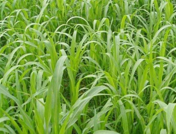 1641827461297899.jpg 1641827461297899.jpg