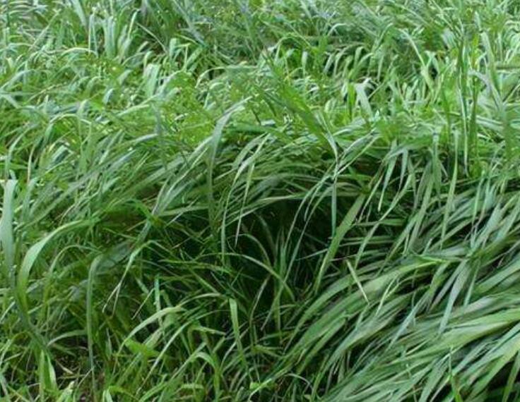 1641911979549049.jpg 1641911979549049.jpg