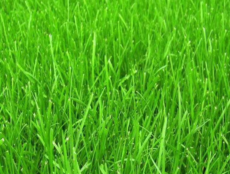 1642056980211952.jpg 1642056980211952.jpg