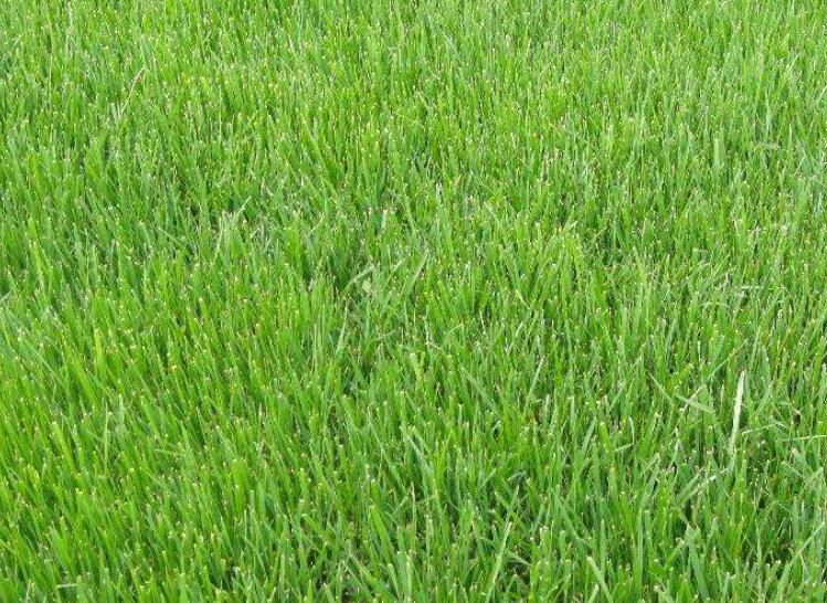 1642057006432966.jpg 1642057006432966.jpg