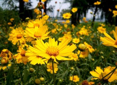 1642068842646296.jpg 1642068842646296.jpg