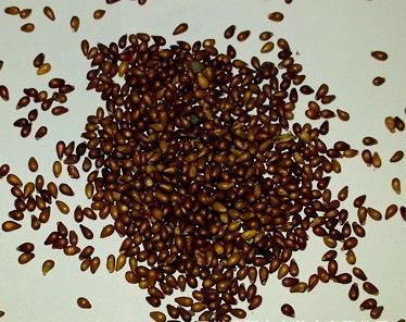 1642242659356961.jpg 1642242659356961.jpg