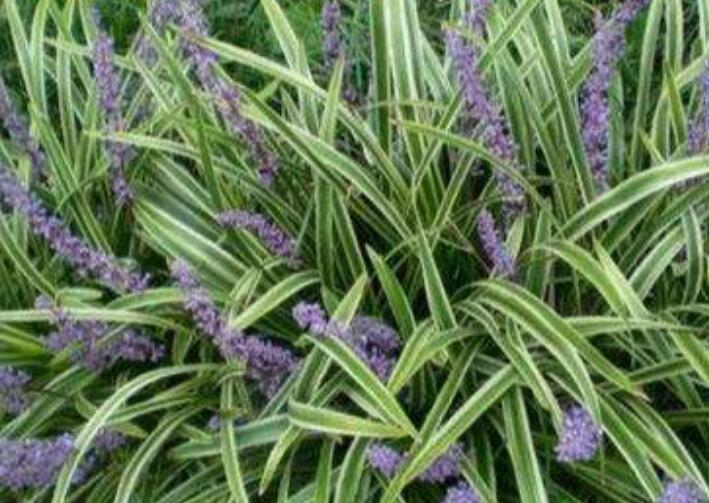 1642303878996074.jpg 1642303878996074.jpg