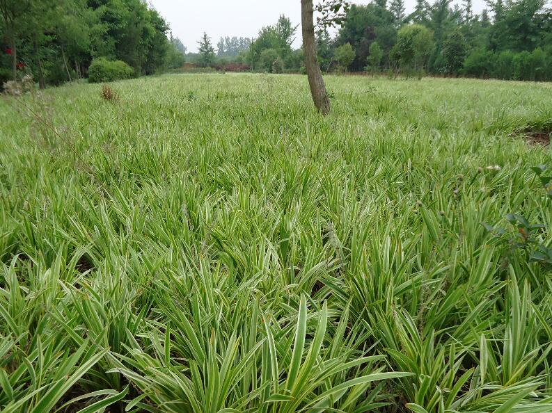 1642488260151331.jpg 1642488260151331.jpg