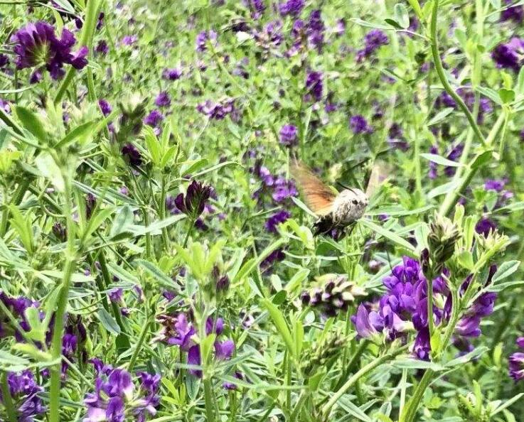 1642490661874429.jpg 1642490661874429.jpg