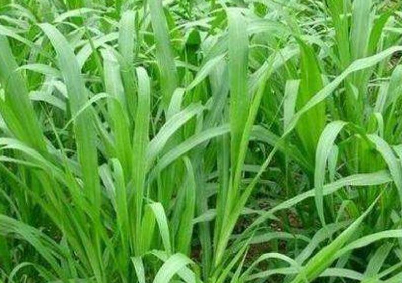 1642581876698018.jpg 1642581876698018.jpg