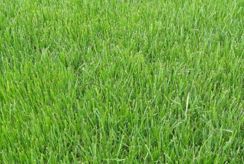 1642583049315360.jpg 1642583049315360.jpg