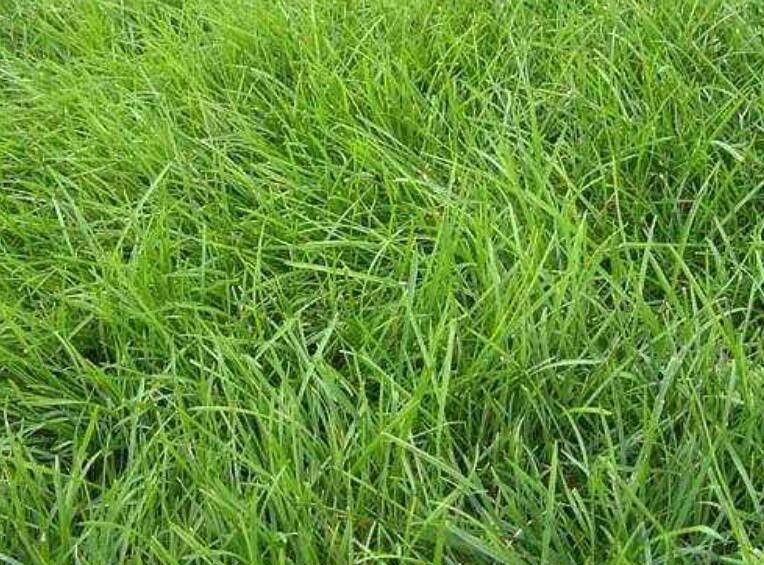 1642756838436124.jpg 1642756838436124.jpg