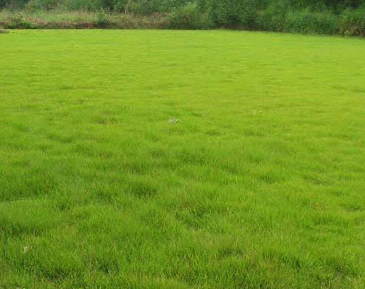 1642757628394666.jpg 1642757628394666.jpg